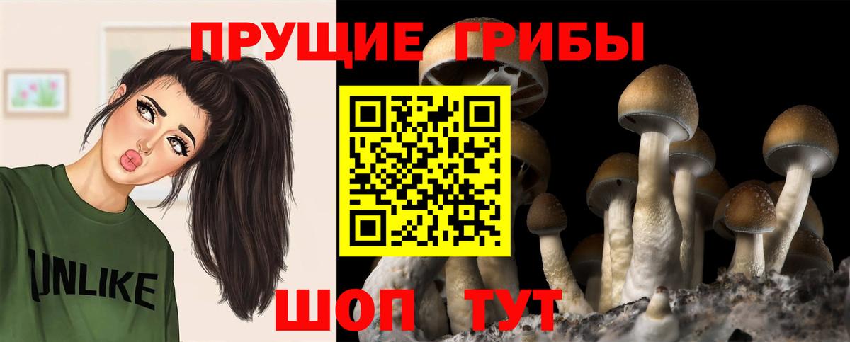 Псилоцибиновые грибы Psilocybine cubensis  Вход с VPN  Галлюциногенные грибы Psilocybe  Кировск 