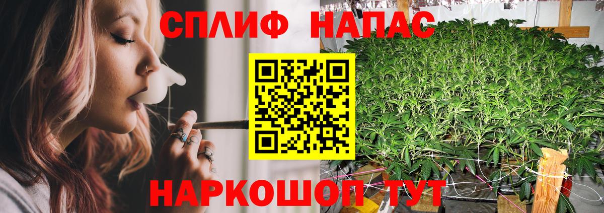 Конопля гибрид Кировск